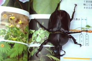 ウエスティーを販売している会社