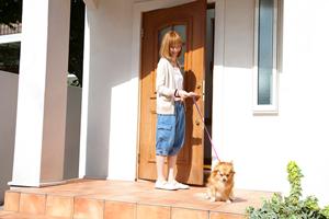 ペットタクシー利用ガイド：安心・安全なサービスと明確な料金について徹底解説