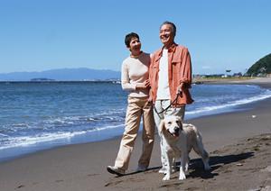 安心して子犬を購入できるお店です