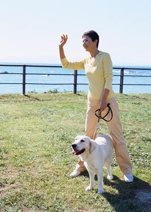 港区で子犬をペットホテルに預ける利点