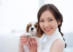 国産のドッグフードを探しているなら